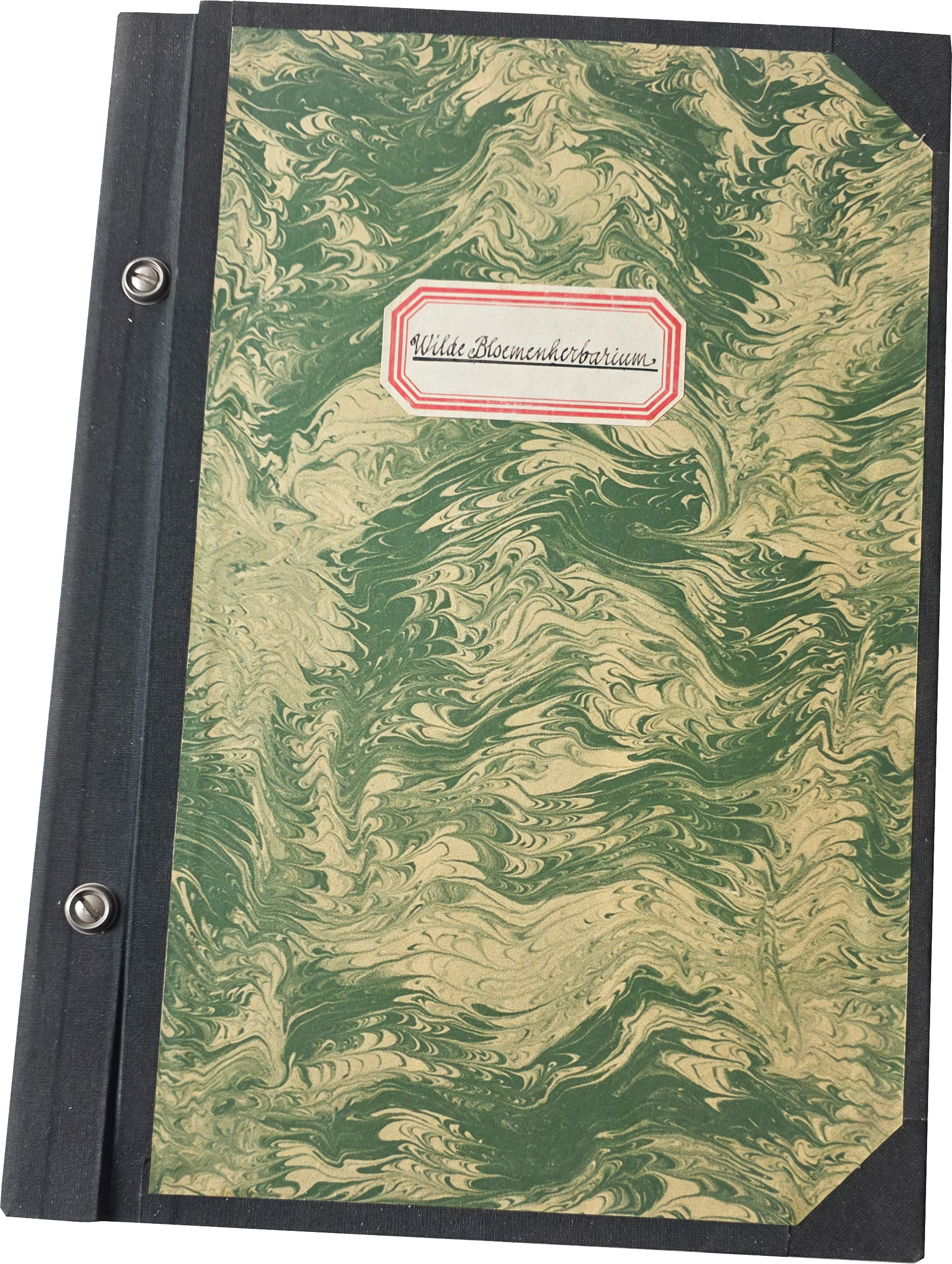 Wilde Bloemenherbarium